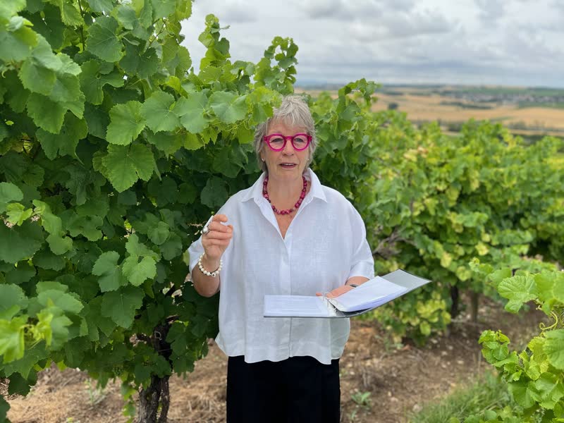 Trauerrednerin Beate Berdel-Mantz spricht mit einer Redemappe in der Hand im Freien.